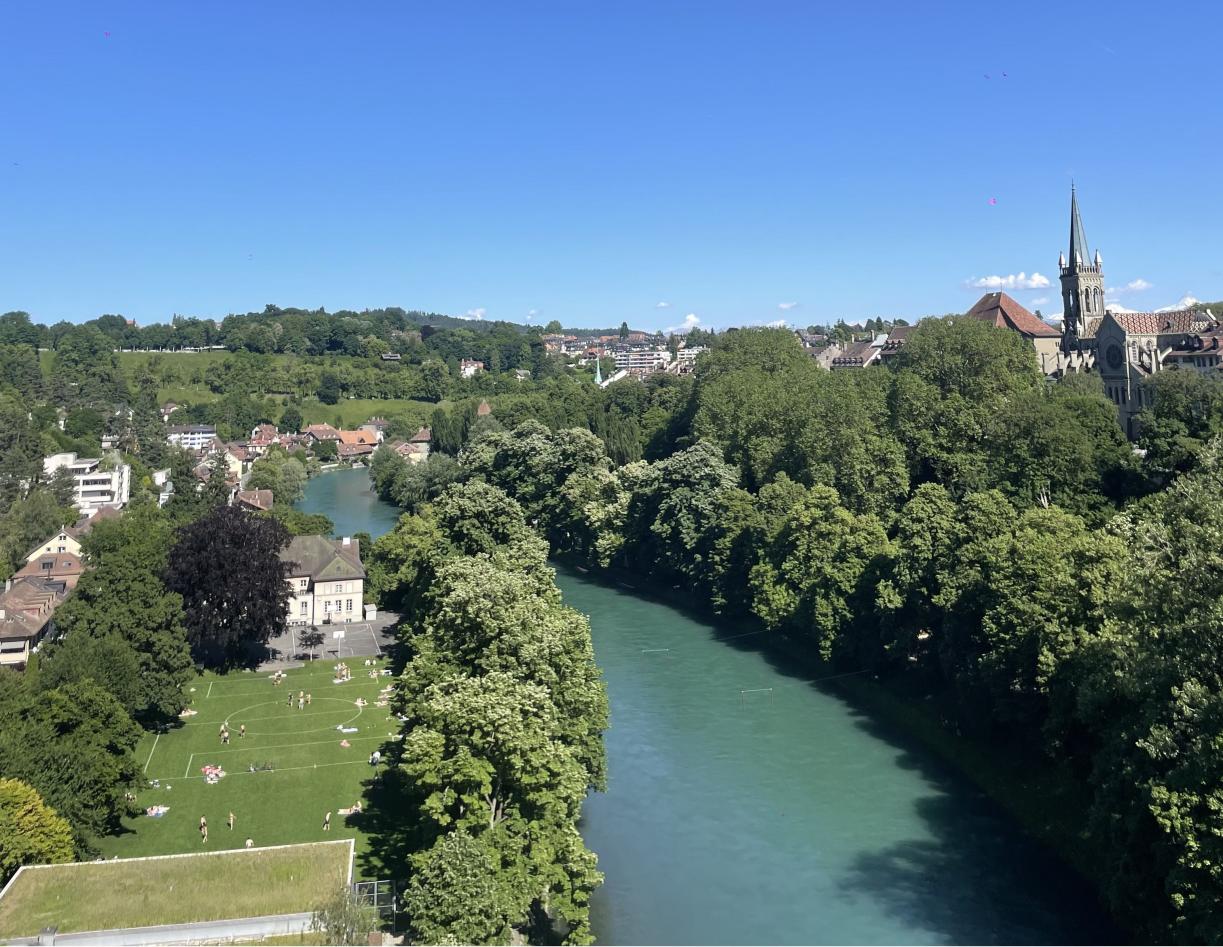 Elv i Bern