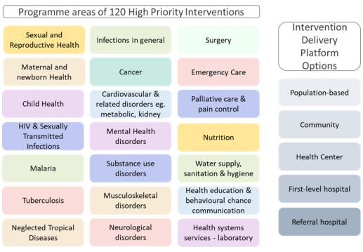 Overview of programme areas for high priority interventions