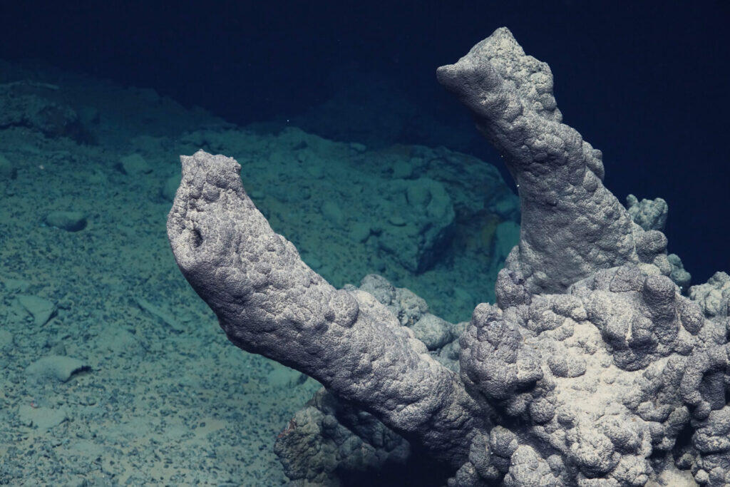 Utdødd skorstein på havbunnen som ble oppdaget under toktet