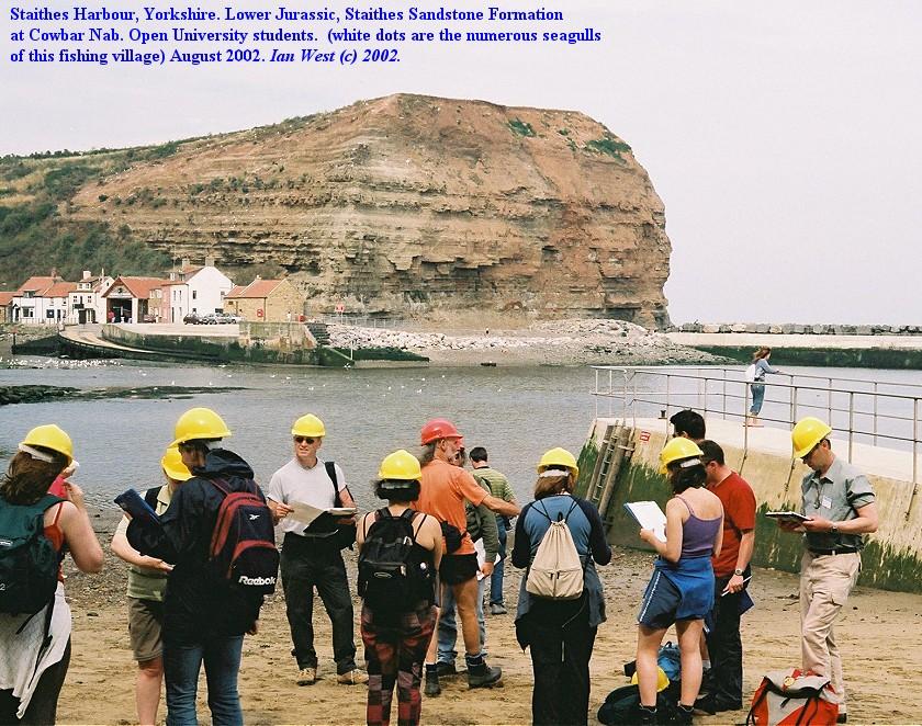 People in the field with hard hats