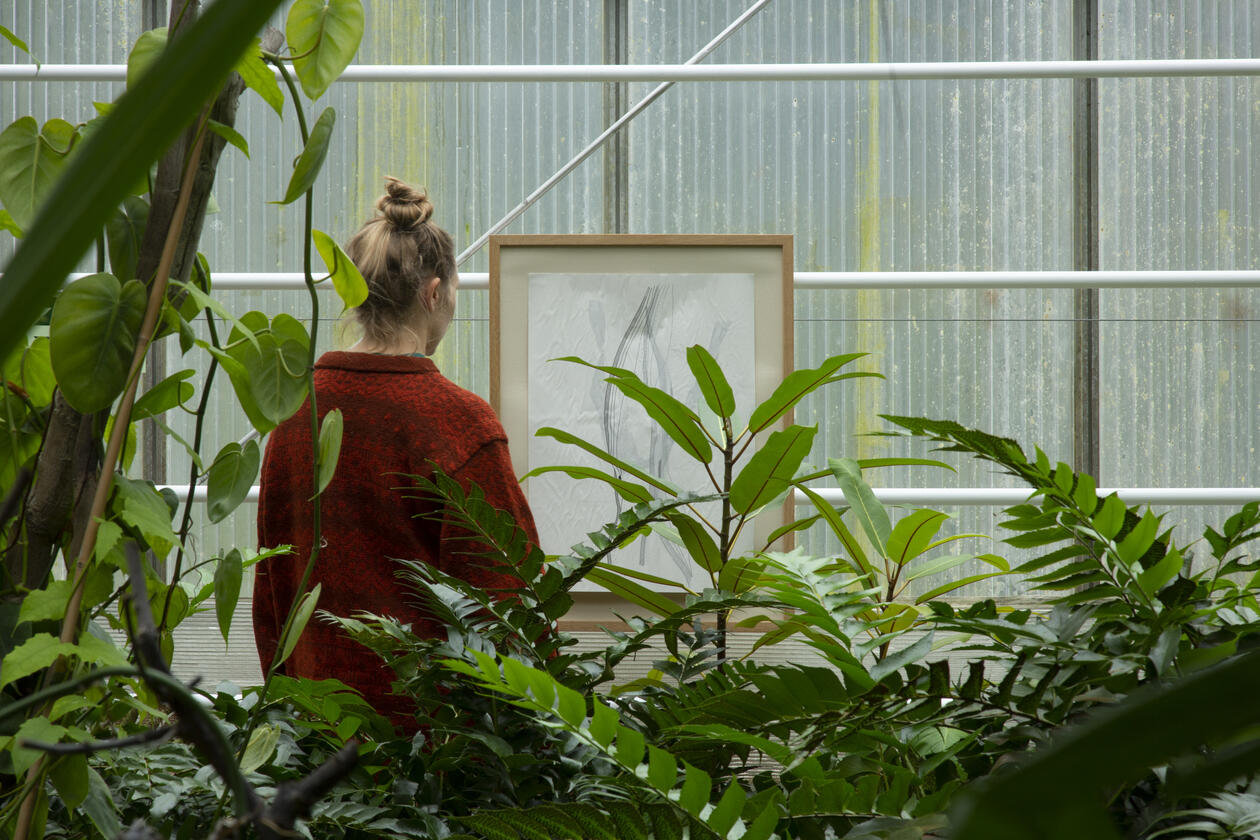 A person seen from behind looking at a piece of art, greenery in the front of the image