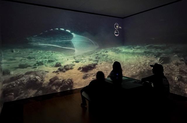 The Changing Ocean exhibition Bergen Aquarium