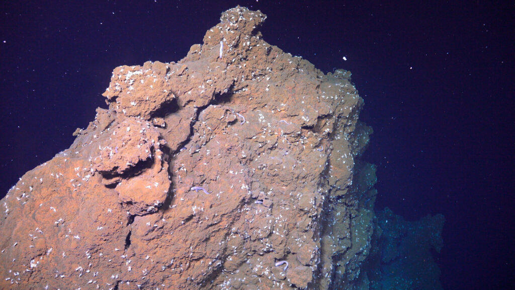 Strukturer laget av sulfider på havbunnen