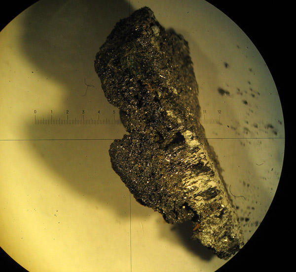 from a hydrothermal chimney wall from a hydrothermal chimney wall