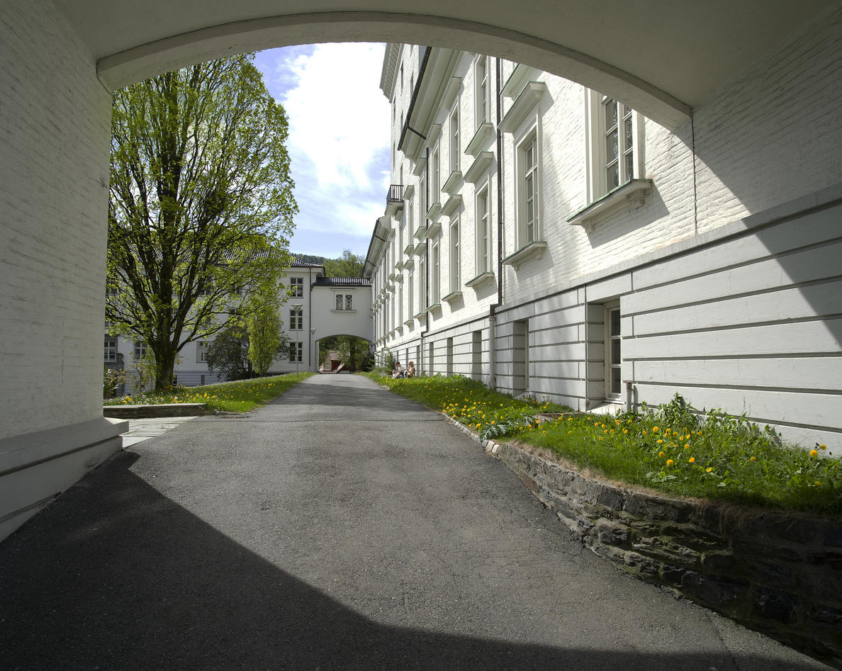 Geofysisk Institutt, detalj.Copyright UiB.