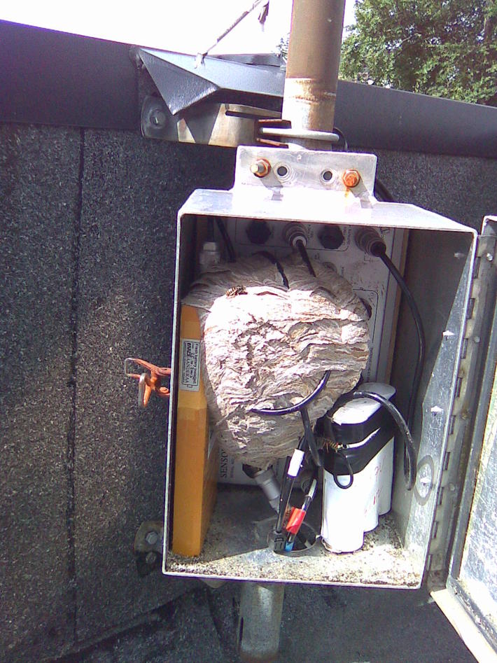 !! Take care !! Wasps' nest in the logger cabin of an Aanderaa AWS !! Take care !! Wasps' nest in the logger cabin of an Aanderaa AWS