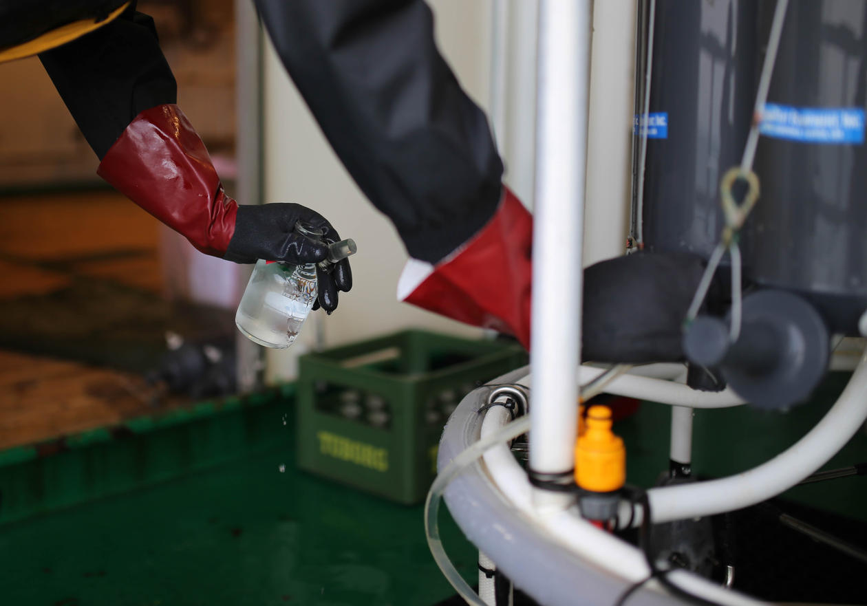 The cycles of C, N, O and P are closely linked.