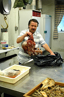 Ingeniør Johnny Magnussen drar frem en frossen ulv fra posen. Om noen dager ligger den som skjelett på boks på loftet til Bergen museum. Ingeniør Johnny Magnussen drar frem en frossen ulv fra posen. Om noen dager...