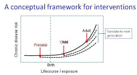 Grafen viser hvordan grep tatt før barnet er født gir størst effekt i...