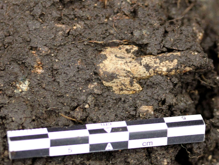 Tangepil av skifer under utgraving. Typen på bildet er særlig karakteristisk for tidsrommet mellom midten av det fjerde årtusen til midten av det tredje årtusen f.Kr. Tangepil av skifer under utgraving. Typen på bildet er særlig karakteristisk...