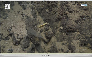 Hermetikk på havbunnen Hermetikk på havbunnen