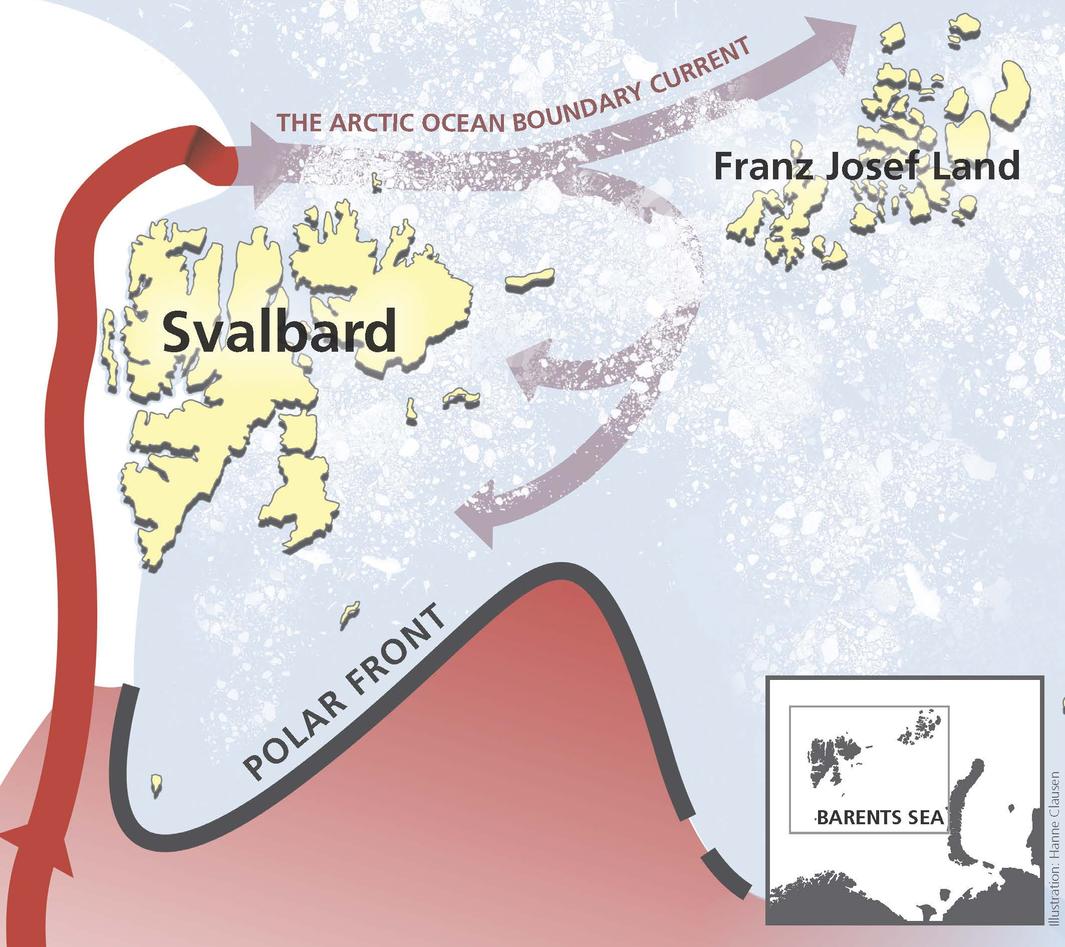 A warm deep current enters the Barents Sea from the north. The current is a...