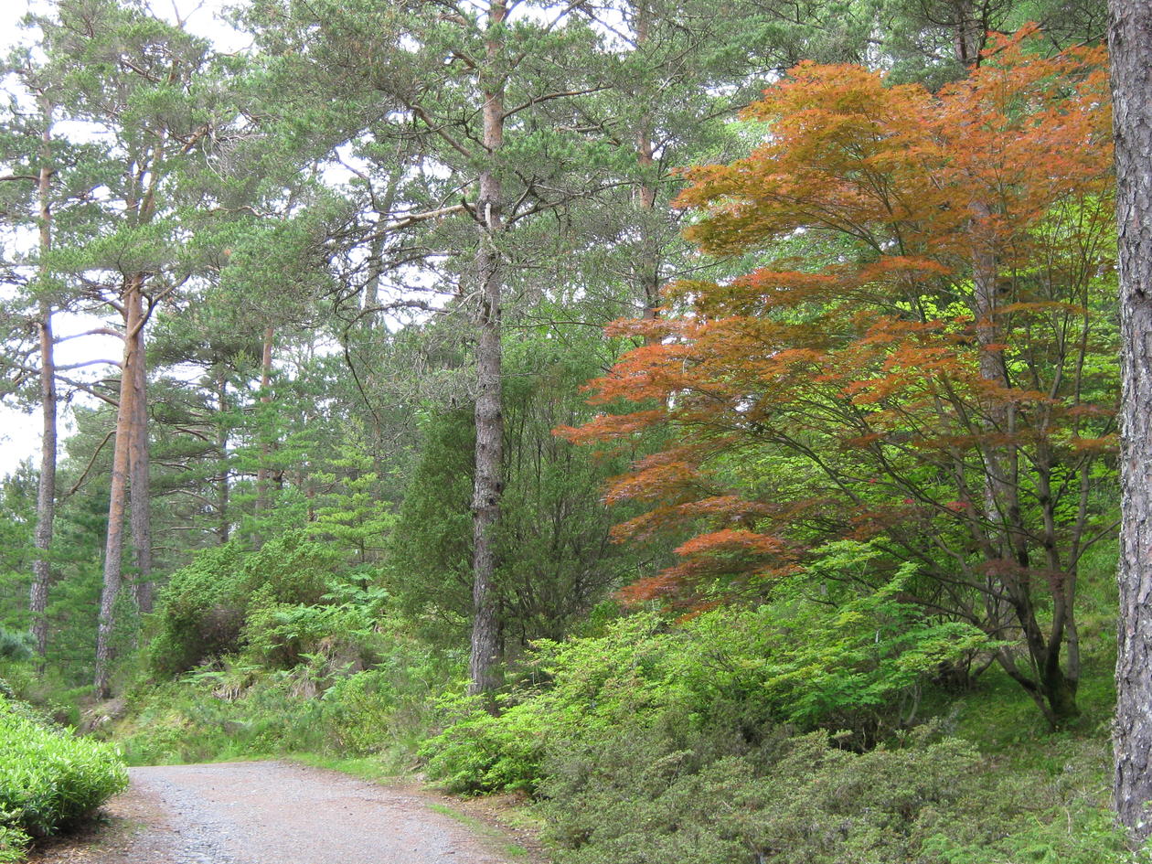 Gå på oppdagelsesferd i samlingene
