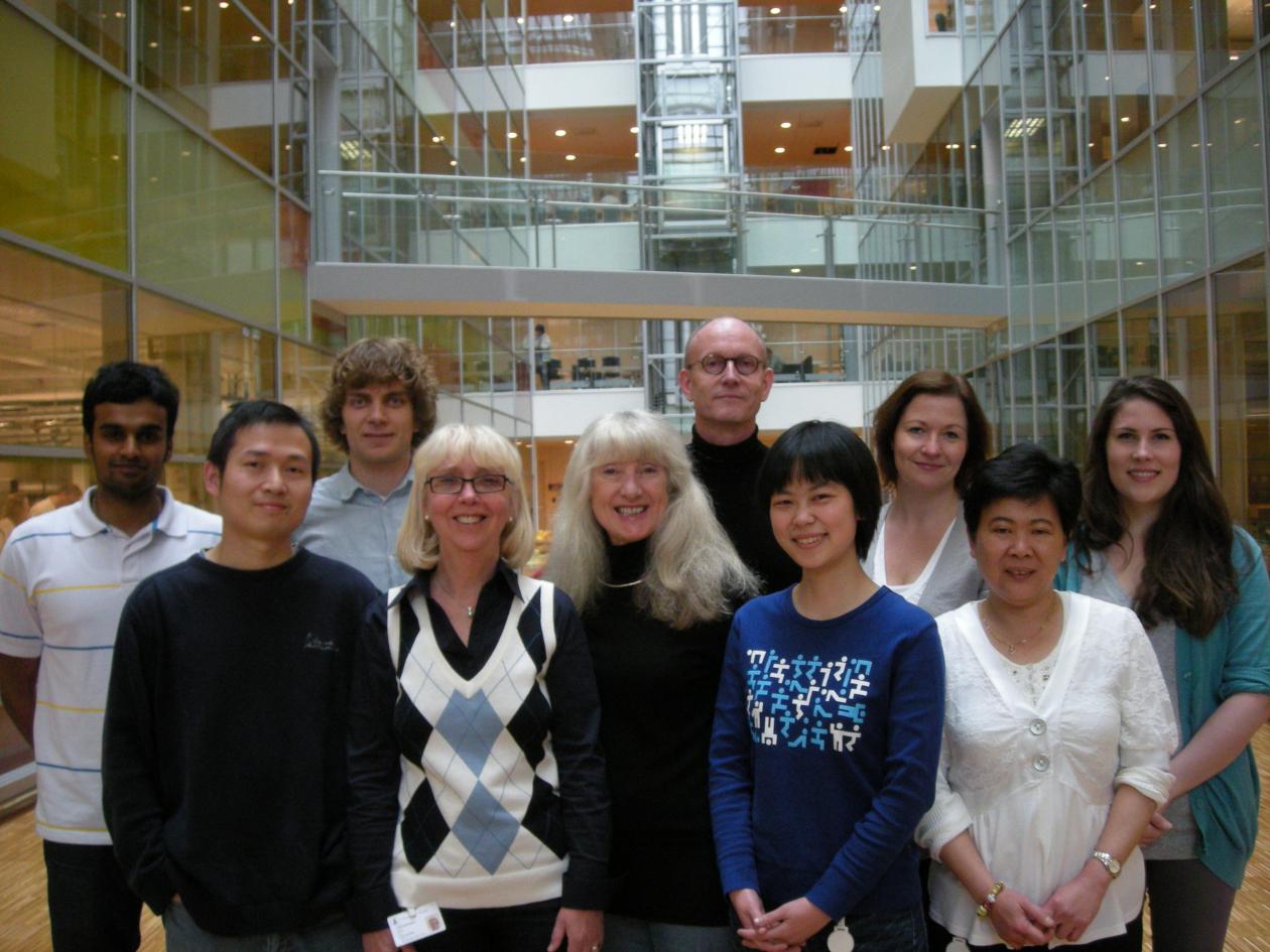 Kalland's research group, 2010. From upper left corner: Kristo Marvyin, Jan...