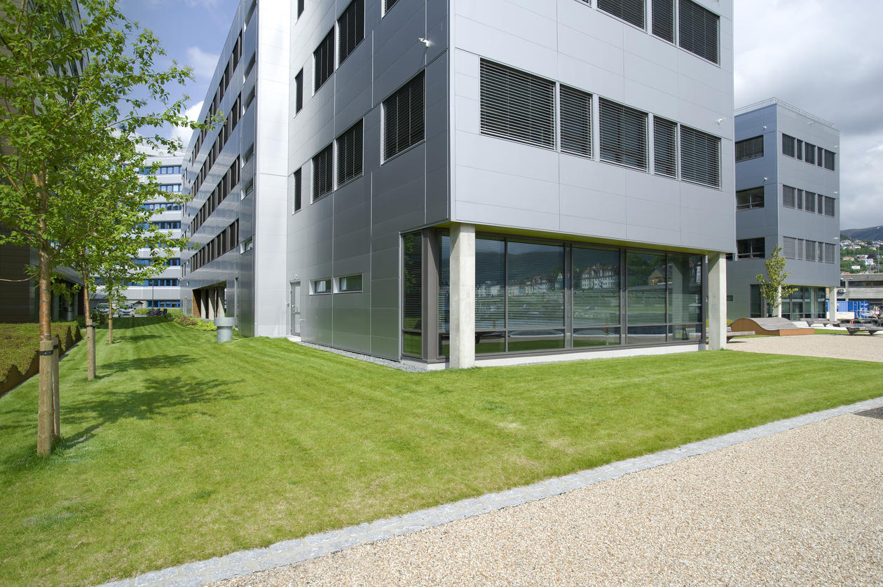 Beplantning ved blokkene på Marineholmen
Foto: Irene Heggstad
Copyright: UiB Beplantning ved blokkene på Marineholmen
Foto: Irene Heggstad
Copyright: UiB