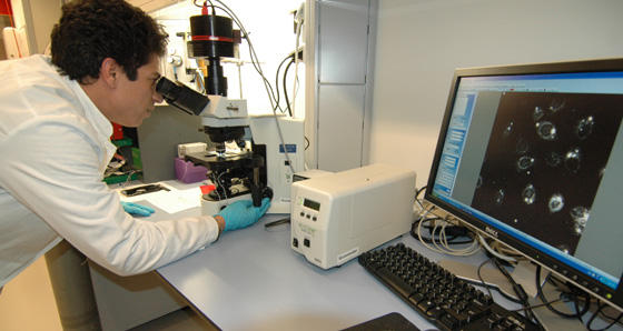 Stipendiat Zouher Allouni studerer nanopartikler i sitt spesialmikroskop. De...