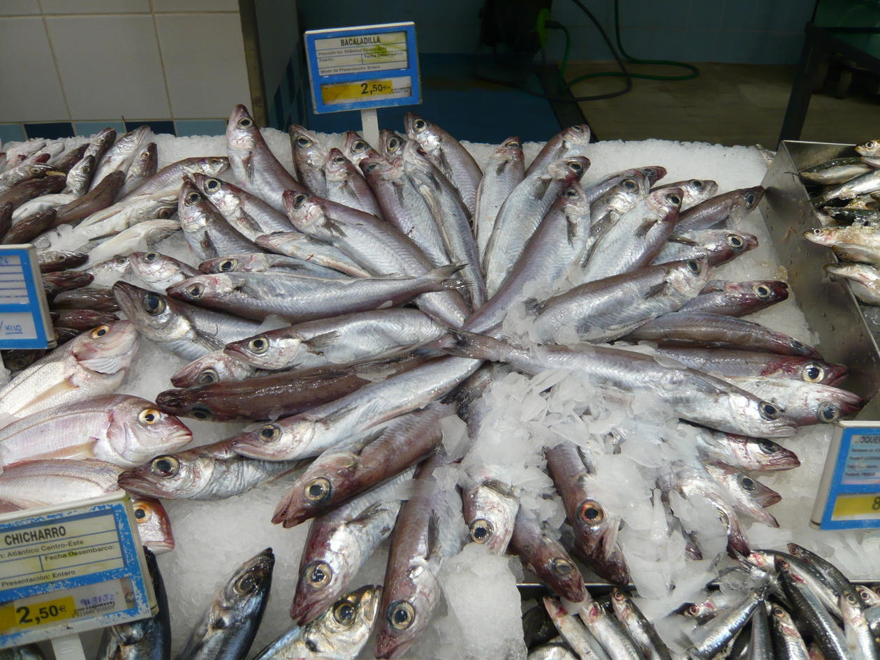 Blue whiting on sale in a supermarket in Valencia