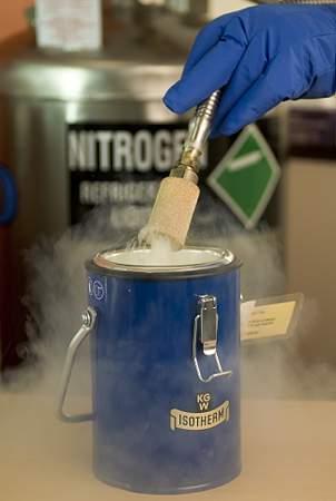 Damp av flytande nitrogen.