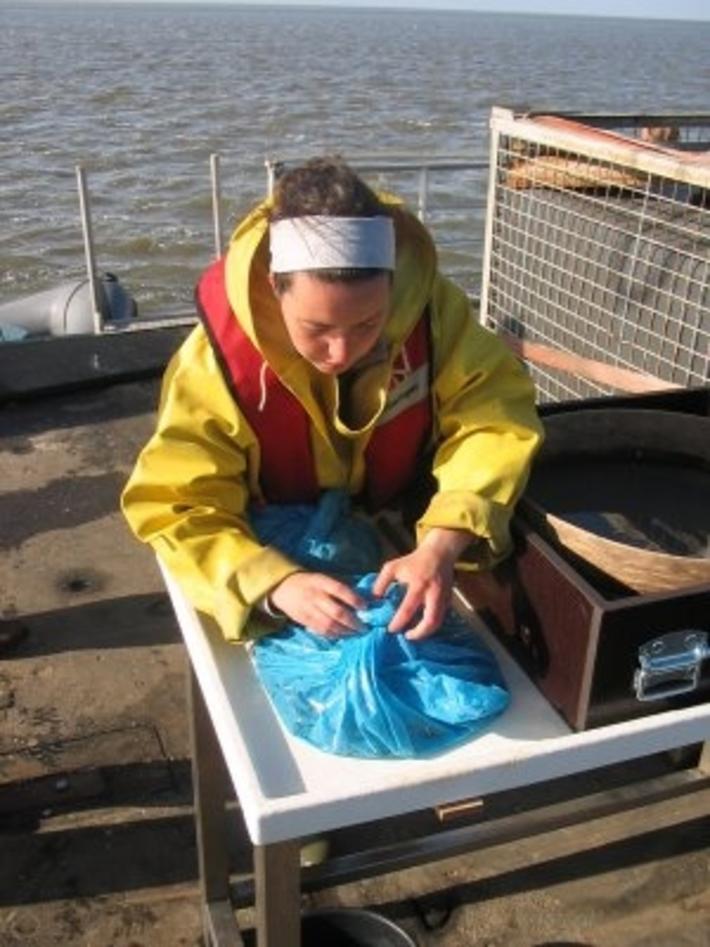 PhD Candidate - Rita Guillot PhD Candidate - Rita Guillot