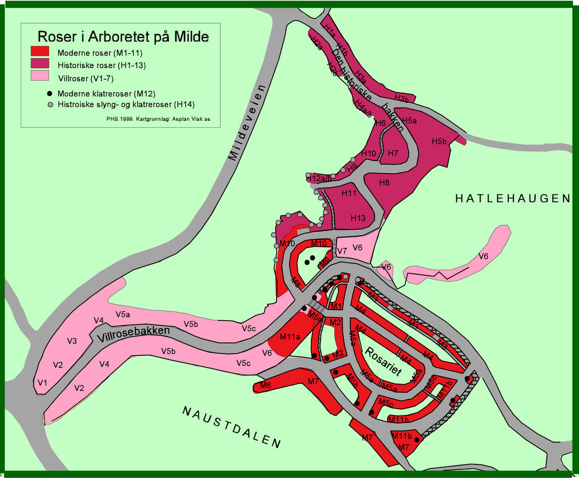 Kart over de forskjellige roseavdelingene