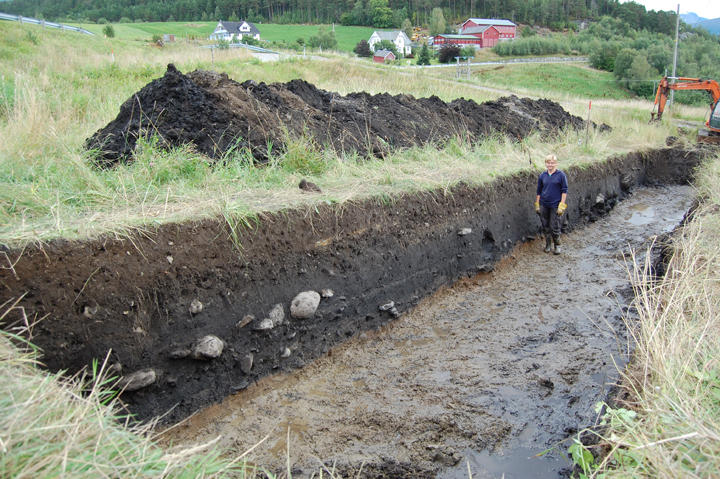 3. Lok. 4. Dyrkningsprofil. Oddhild Dokset er målestokk.