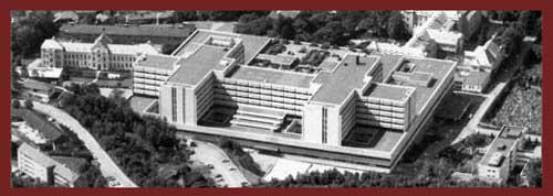 Haukeland University Hospital