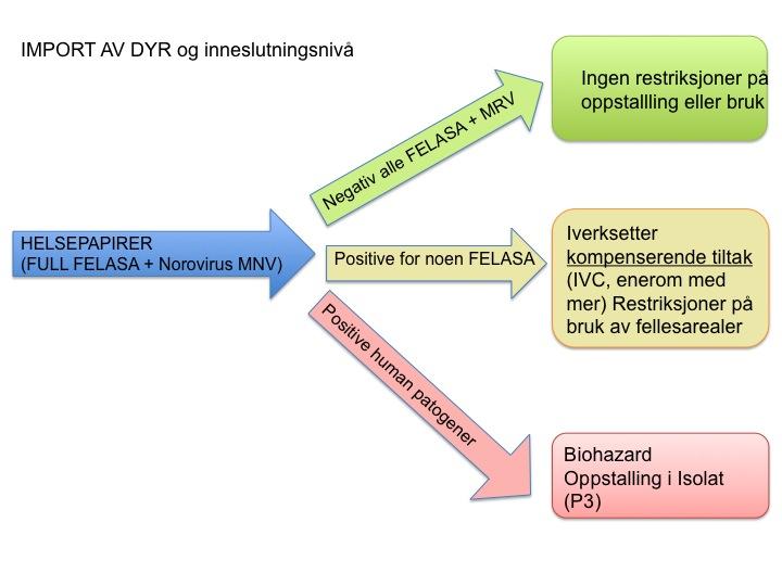 Flytskjema for import av dyr og inneslutningsnivå i Dyreavdelingen UiB