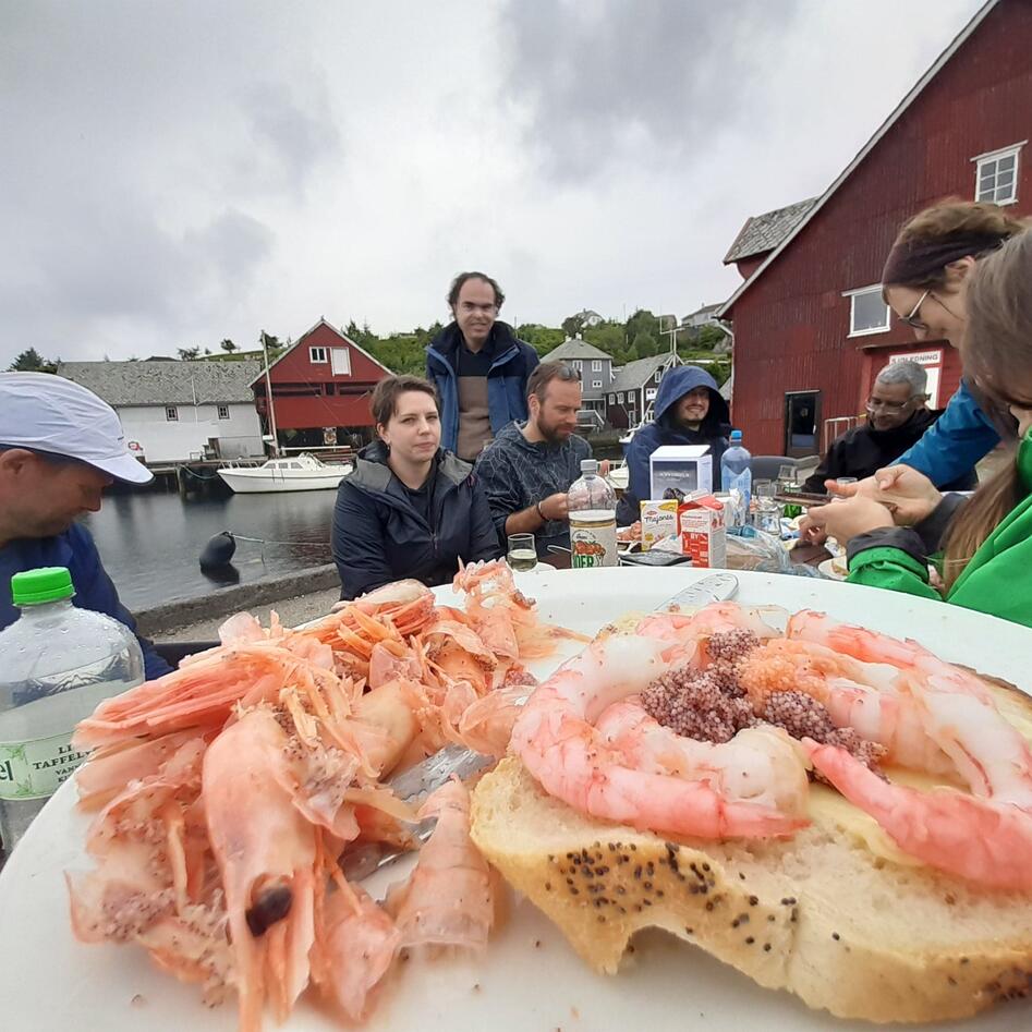 what could be more Norwegian than reke on white bread with mayo and lemon ... in the rain ...