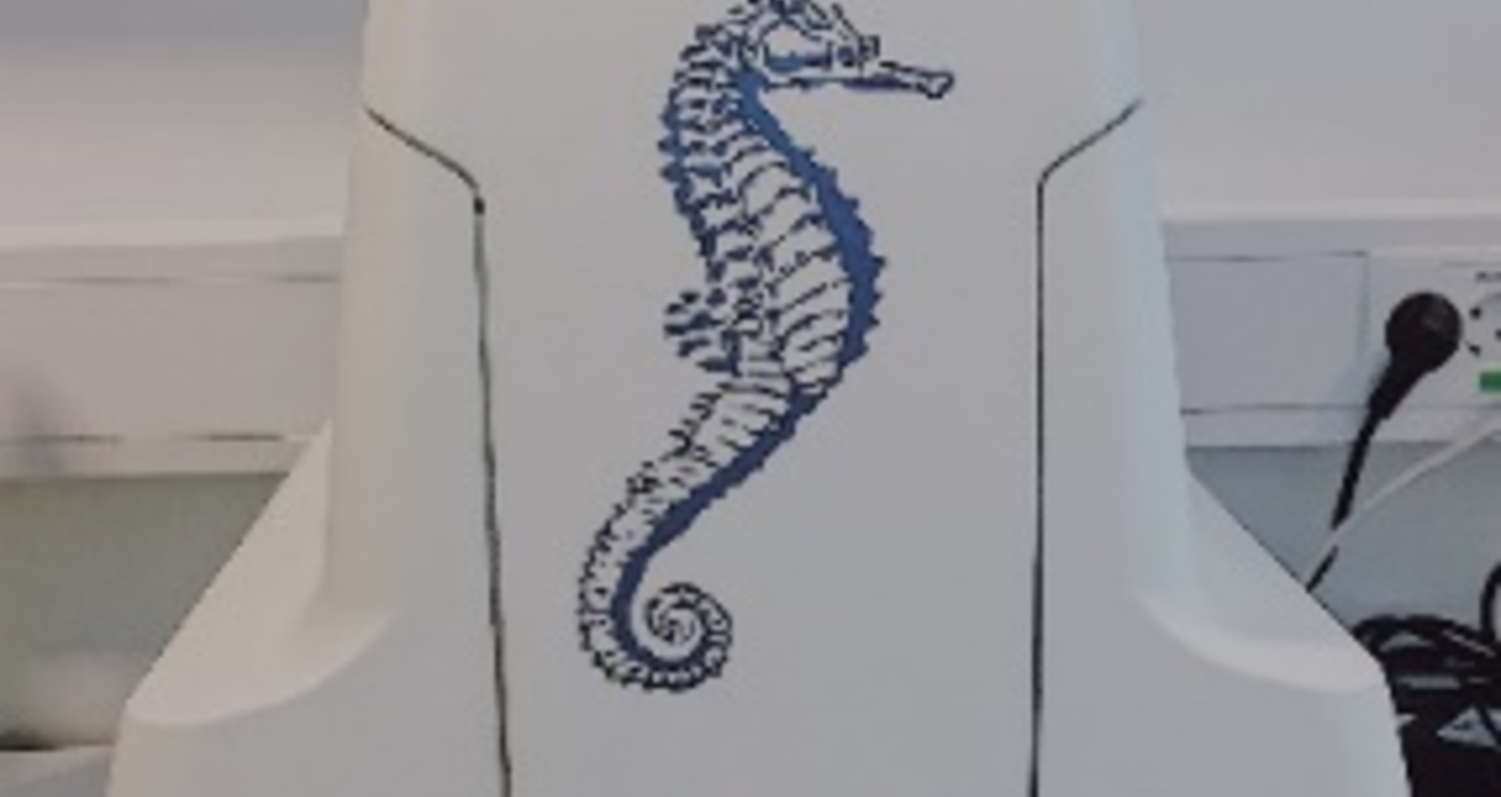 seahorse