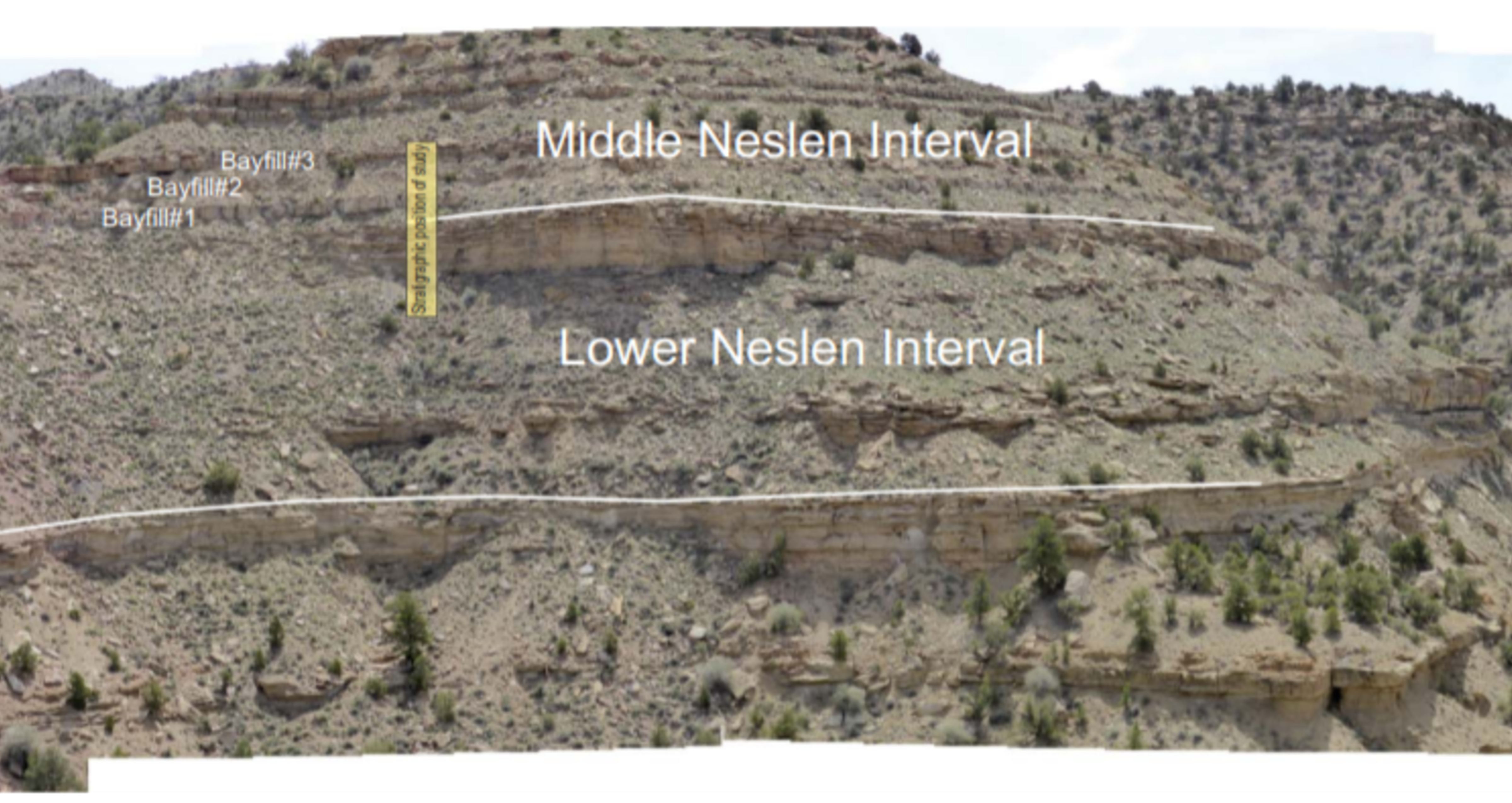 Neslen Formation Book Cliffs