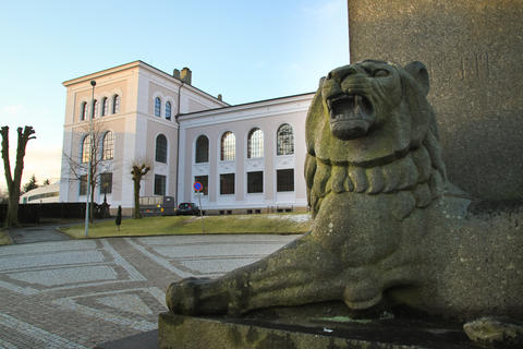 Universitetsmuseet, løve