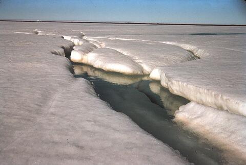 Ice melting Arctic