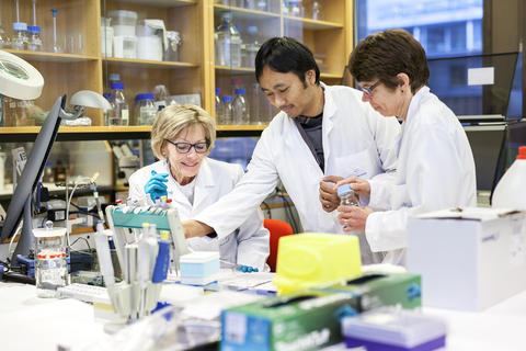 Professor Johannessen and staff members in the lab.