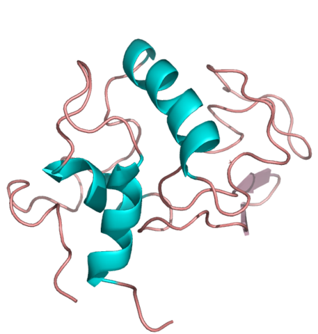 Schematic representation of the crystal structure of alfa-Lactalbumin