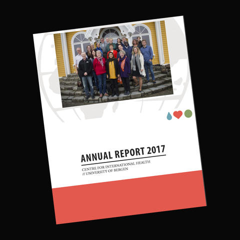CIH Annual Report 2017
