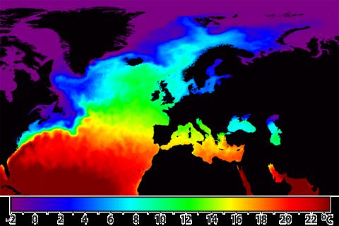 The image shows the North Atlantic sea surface temperature from satellites (January 2008), which clearly shows the Gulf Stream and North Atlantic Current. These are the regions where the ocean pumps large amounts of heat into the atmosphere that are impor