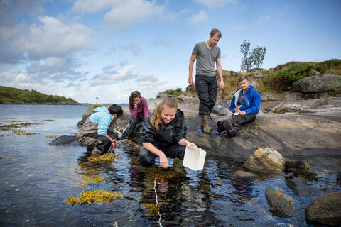 Biology students collecting samples