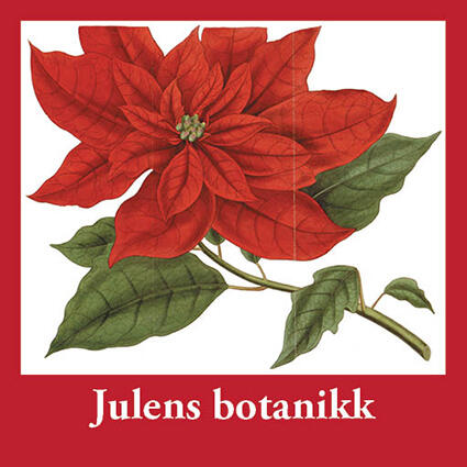 Julens botanikk vises fram i Blondehuset.