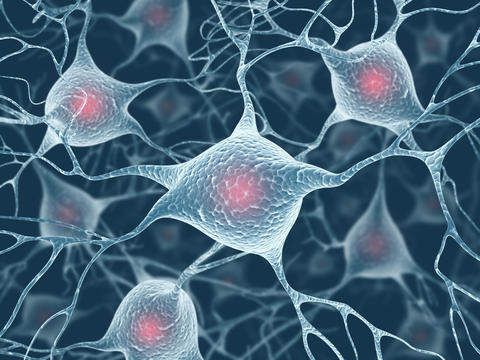 Illustrasjonsfoto av nerveceller