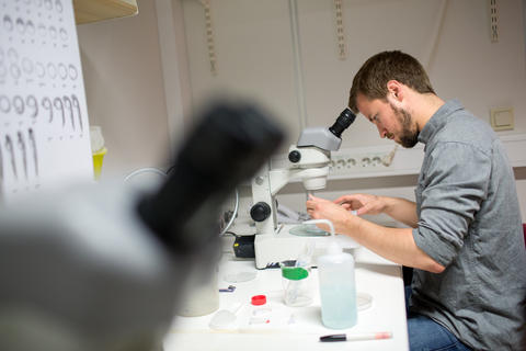Student looking in a microscope