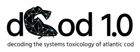 dCod 1.0 logo