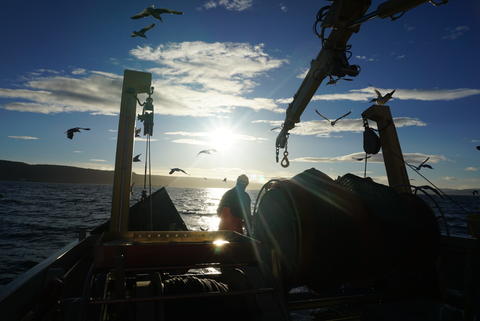 Trawling for fish in the Oslo fjord at sunset