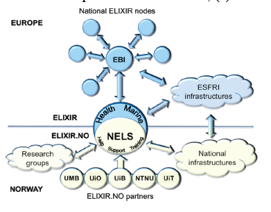 elixir project in norway. Diagram that shows the structure