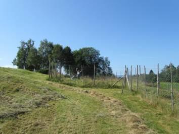 A field with a few trees at the top and a fence to the right