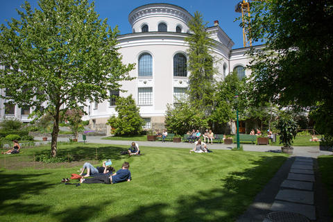 UiB museums gardens with people sunbathing and sitting on benches, relaxing