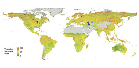 A world map showing the sensitivity of vegetation to climate