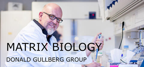 Donald Gullberg in the laboratory.