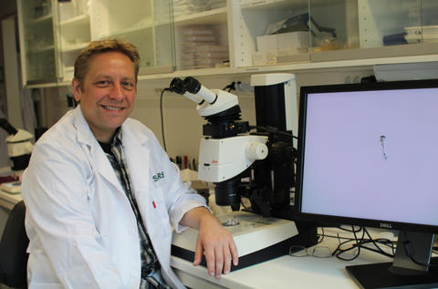 Researcher Andreas H. Hejnol, Sars International Centre for Marine Molecular Biology, University of Bergen (UiB).