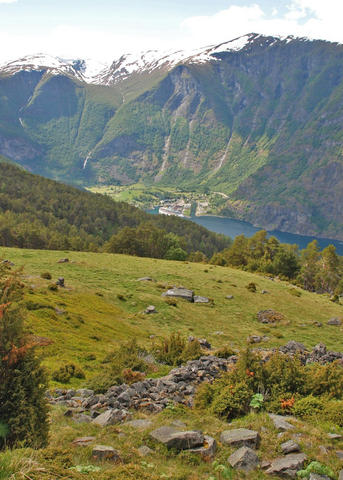 View over to the steep mountains of Høgsete that sweep down to the fjord at Flåm from one of the experimental sites