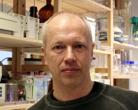 Sigurd Stefansson, professor ved Institutt for biologi. Portrett.